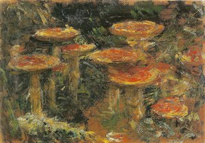 不明な画像 作： Ferdo Vesel